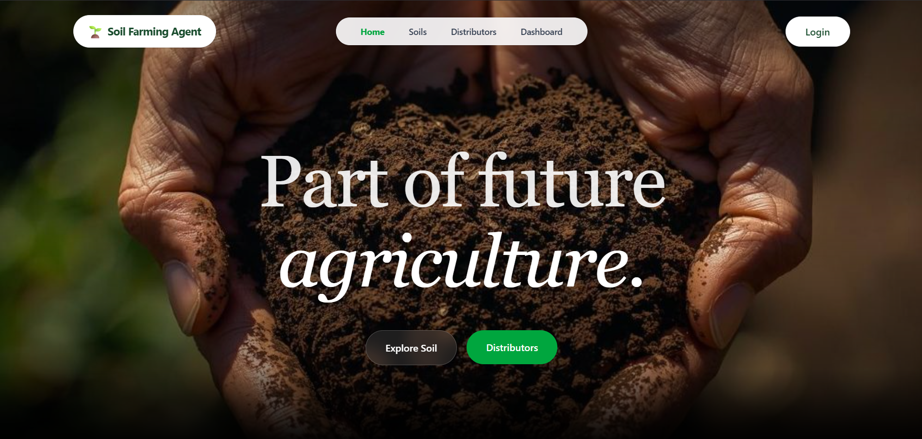 Louis Vuitton project landing page